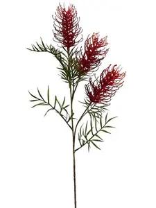 2. Grevillea Spray 85cm Red thumbnail