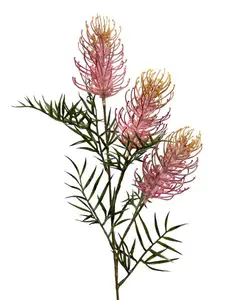 Grevillea Spray 85cm Pink