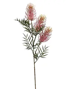 2. Grevillea Spray 85cm Pink thumbnail