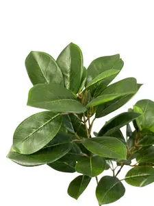 1. Laurel Leaves Spray 85cm thumbnail