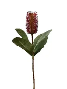 2. Banksia Robur Spray 74cm Burgundy thumbnail