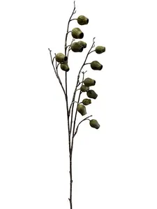 2. Gumnut Spray 87cm Green thumbnail