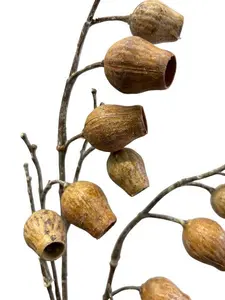 1. Gumnut Spray 87cm Sand thumbnail