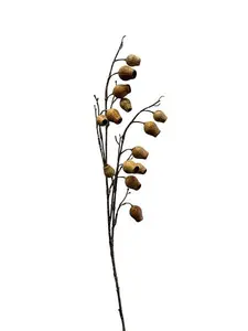 2. Gumnut Spray 87cm Sand thumbnail