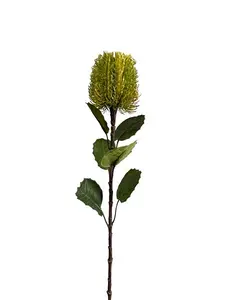2. Banksia Spray 58cm Green thumbnail