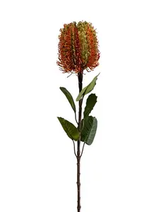 2. Banksia Spray 58cm Orange thumbnail
