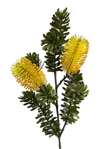 Banksia Marginata Spray 66cm Yellow