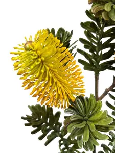 1. Banksia Marginata Spray 66cm Yellow thumbnail