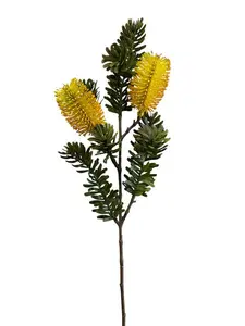 2. Banksia Marginata Spray 66cm Yellow thumbnail