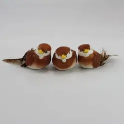 Small Bird Box of 12 Brown