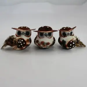 Medium Owl Box of 12 Brown