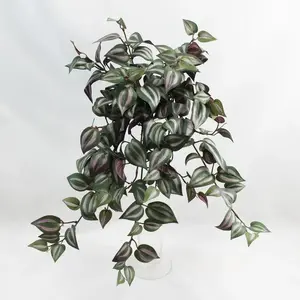 Wandering Jew Tradescantia Hanging Bush 50cm