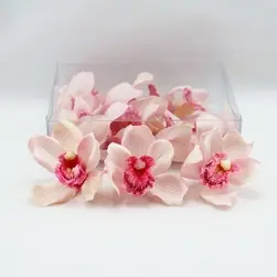 Cymbidium Orchid Heads Pink Box of 12