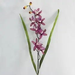 Cymbidium Orchid Spray with Leaves Aubergine 75cm 