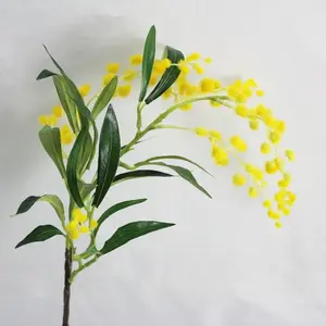 Australian Wattle Spray 75cm