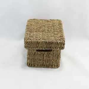 Extra Small Rect Seagrass Storage Basket with Lid Natural 25.5x17.5x14.5cm height