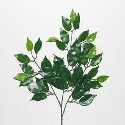 Ficus Leaves Spray 60cm
