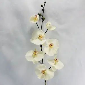 Large Cream Phalaenopsis Orchid Spray 100cm