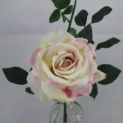 Quiannie Rose 42cm Cream/Pink