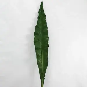 Birds Nest Fern Leaf 83cm