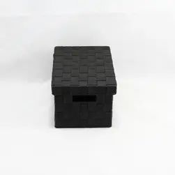 Small Rect PP Storage With Lid Black 30x20x16cm height