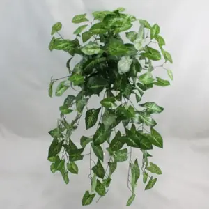 Artificial Syngonium Hanging Bush 70cm