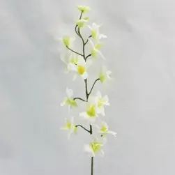 Singapore Dendrobium Orchid Spray 80cm Cream
