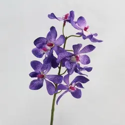 Short Stem Vanda Orchid Spray 38cm Purple