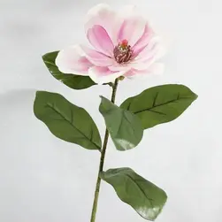 Single Stem Magnolia 66cm Pink/Cream