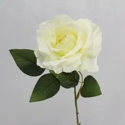 Single Rose Cream 54cm