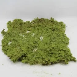 Moss Mat