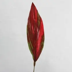Cordyline Leaf Red
