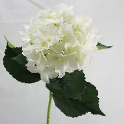 Single Large White Hydrangea 83cm